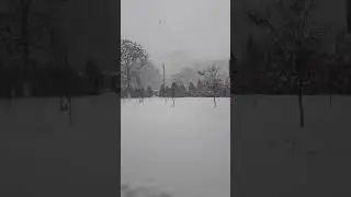 Снег 13.11.2018