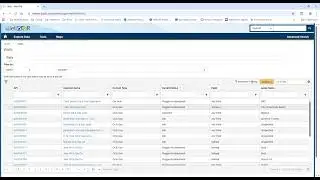 WellSTAR Data Grid View and Advanced Filtering Instructions - Updated Sept2025
