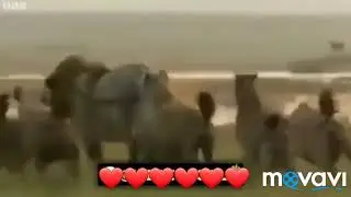 Xaqiqiy do'sd