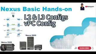 Nexus DC Switch Basics: Understanding the Fundamentals