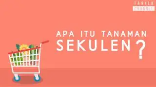 Sekulen Part 1 - Apa itu Tanaman Sekulen/Sukulen?