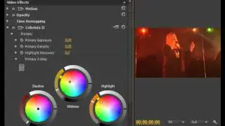Reference Monitor   Colorista
