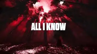 Mike Posner - I Took A Pill In Ibiza (Prosecute Remix)