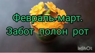 Февраль-март, забот полон рот.Обноновление кухни.Про рассаду.Маёвка в марте.4.03.24.