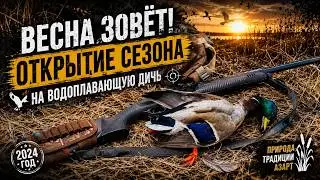 Весенняя охота на водоплавающую дичь. 2024 г.
