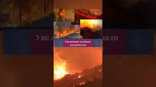 🔴🌍🔥ПОЖАРЫ И СУДНЫЙ ДЕНЬ