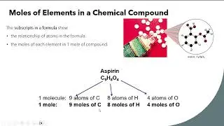 Ch 5 Part 2 The Mole and Molar Mass