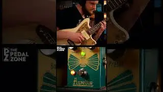 a REALLY versatile Modulation Pedal @EarthQuakerDevices Aurelius #chorus #modulation #guitar