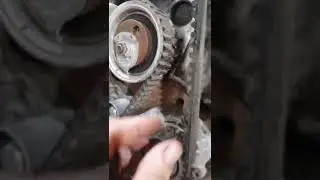 Что лучше цепь или ремень?
