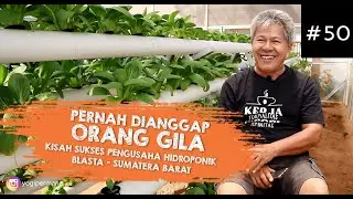 BLASTA HIDROPONIK | Kisah pengusaha hidroponik sukses di sumatera barat | PENGALAMAN DAN MOTIVASI