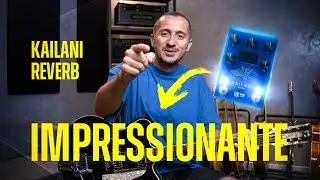 Review Kailani Reverb | Duda Andrade