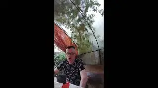 Стрим! Доброе утро