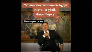 Украинских хлопчиков будут гнать на убой.Игорь Беркут.