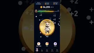 Rocky Rabbit Play to Earn Games #rockyrabbit
