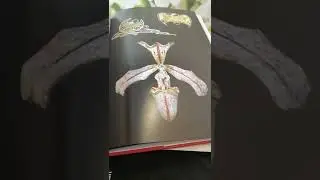 Книги о ювелирном искусстве