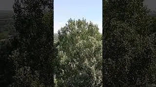 Проста панарама Кіева з правага берага
