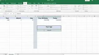 Amazing Age Calculator in Microsoft Excel
