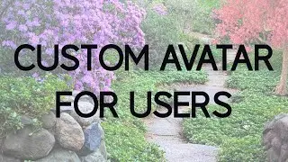 How to add Custom Avatars for Wordpress Users