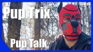 Pup Talk S04E09 with Pup Trix