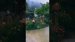 Tình cờ em thấy anh bỗng em vui như ngày xưa...