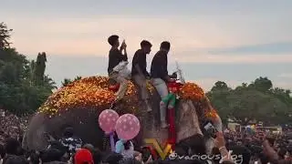 പഴഞ്ഞി ഗജസംഗമം | ആരവത്താൽ ആറാടി ഗജസംഗമം |