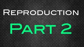 Reproduction Part 2 Igcse Biology