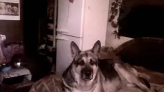 VID 20170607 140619
