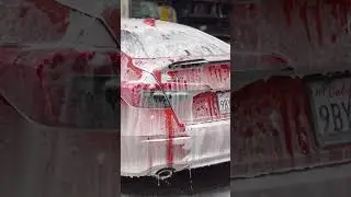 Civic Si Detail 🔥🔥🔥🔥#civicsi #hondacivic #honda #asmr #shorts #detailing