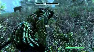 Promises to keep - Skyrim quest glitch and how to fix it
