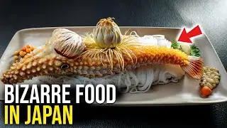 Japan’s Most Bizarre Foods | You Must Try Before You Die