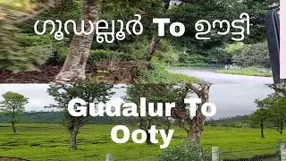 GudalurTo Ooty/ ഗൂഡല്ലൂർ to ഊട്ടി