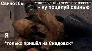 Свино*бы на Скадовске. Garry’s Mod: Mysterious Zone | STALKER RP #8