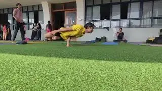 Eka hasta padma mayurasana, yogasana bharat E category asana #yogasanabharat #nysf