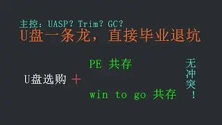 终极U盘教程：选购+拔草！500万销量U盘居然这么烂。依靠ventoy实现PE + win to go无限共存。