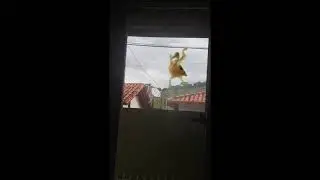 PATU TU CARAI