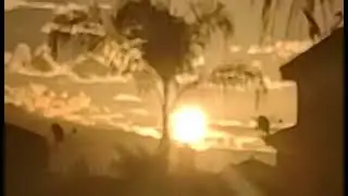 SunFlashing