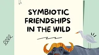 Symbiotic Friendship in the wild | Worlds Science |