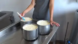 Продаем сыр)