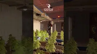 ЗАРЕЙДИЛ ФЕРМУ КИТАЙСКОГО КЛАНА  #rust #cоло #раст