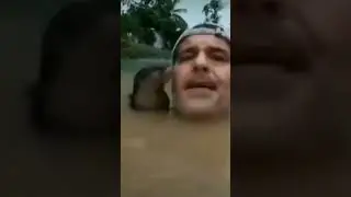 милота
