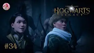 MEETING WITH THE CENTAURS | HOGWARTS: LEGACY [LETSPLAY] (ENG SUBS) #34