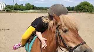 Одежда для конного спорта. Легинсы для верховой езды. Жилетки для верховой езды.