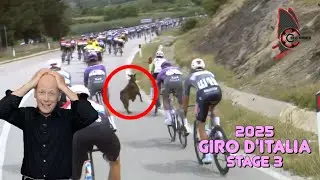Goats ATTACK Professional Peloton