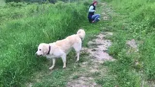 Быстрый старт