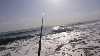 Ловля кефали на спиннинг, Каспийское море