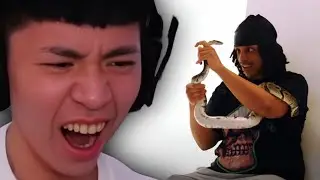 Rayasianboy reacts to AMP LAST MAN STANDING.. 😲