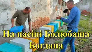 На пасіці Болюбаша Богдана. Львівщина/
