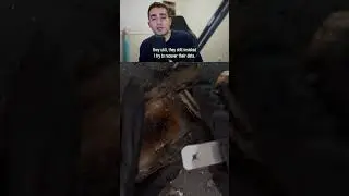 This phone was on fire