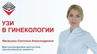 УЗИ в гинекологии