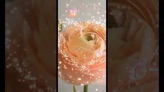 С добрым утром! 💐💖💐💖💐💖